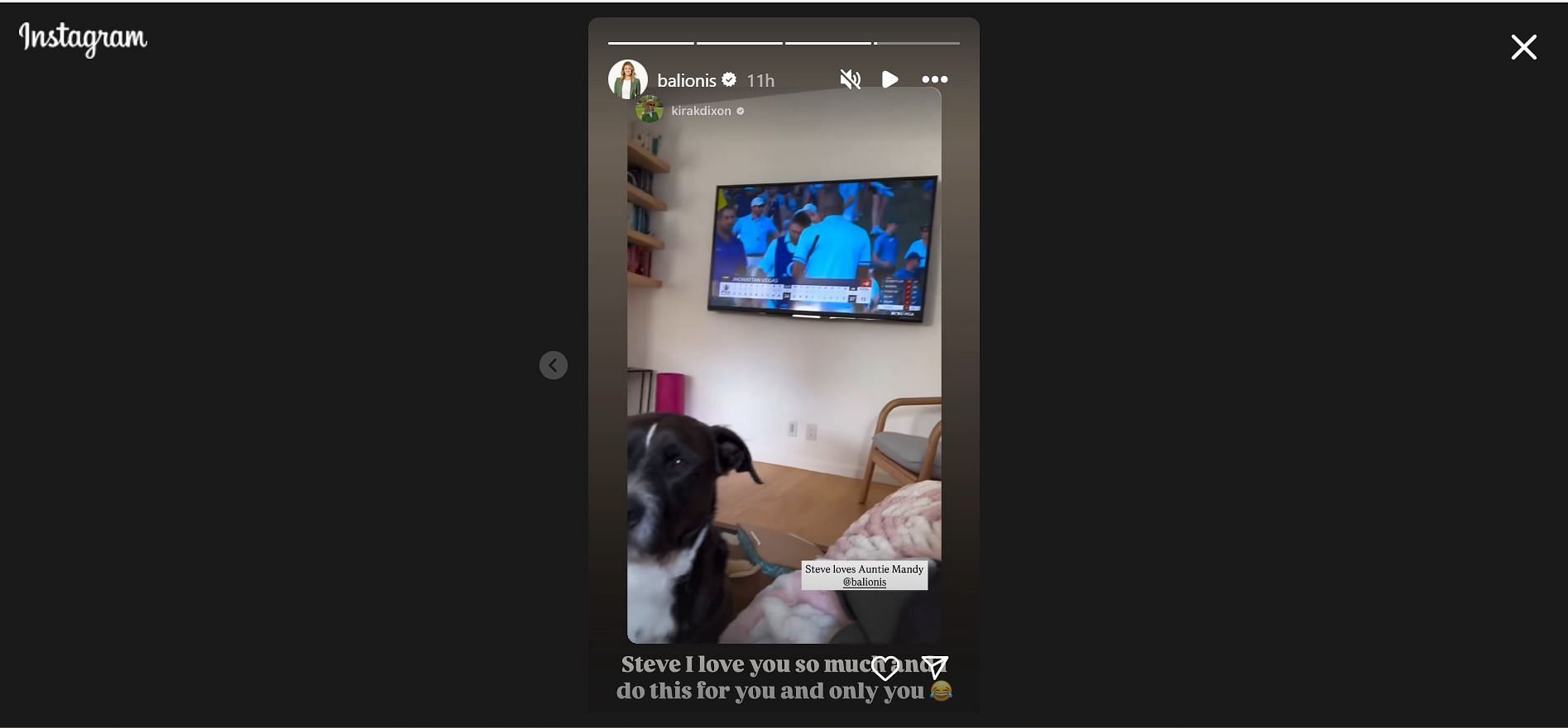 Amanda Balionis reveals her love for Steve (Image Via: IG @balionis)